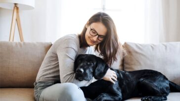 7 Best Home Design for Pets in 2023